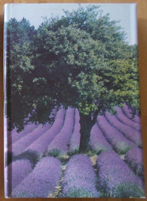 boek : PROVENCE EN CAMARGUE - artisboek, Boeken, Ophalen of Verzenden, Gelezen, Plaatjesalbum