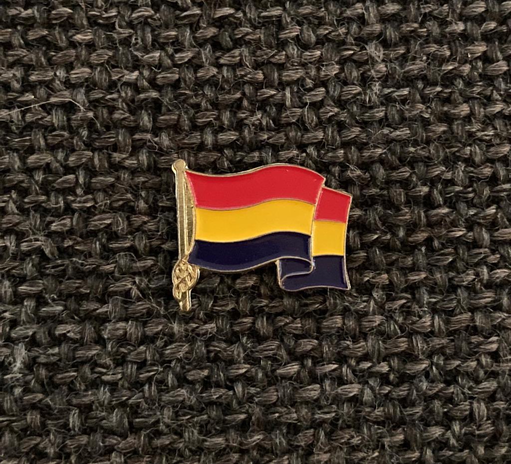 PIN - VLAG - DRAPEAU - FLAG, Envoi, Utilisé, Ville ou Campagne, Insigne ou Pin's
