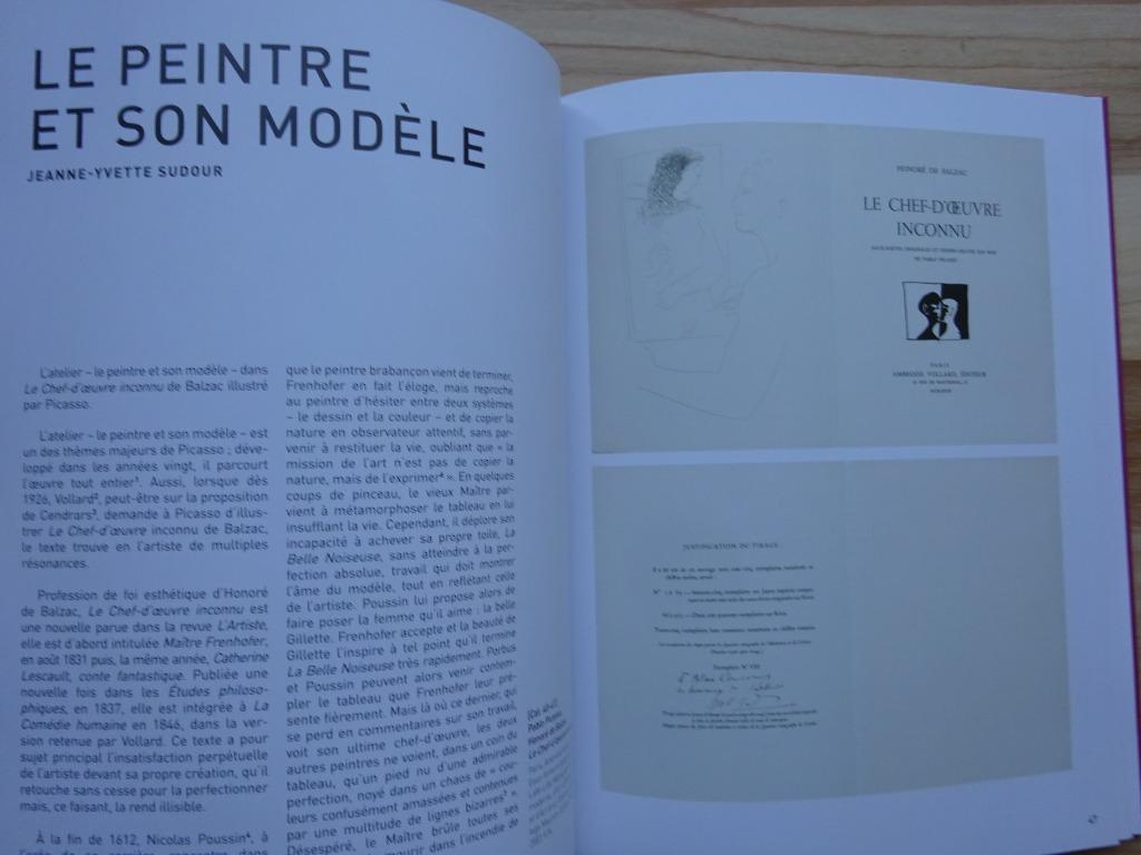 Picasso, illustrateur, MUba Tourqoing, 2020, Enlèvement ou Envoi, Neuf, Peinture et dessin
