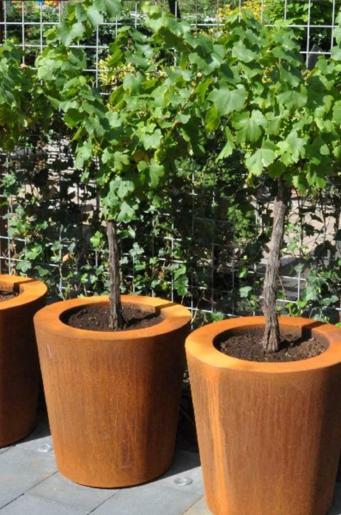 cortenstaal plantenbak / bloembak / boombak CONIC, Overige materialen, Verzenden, Rond, Nieuw