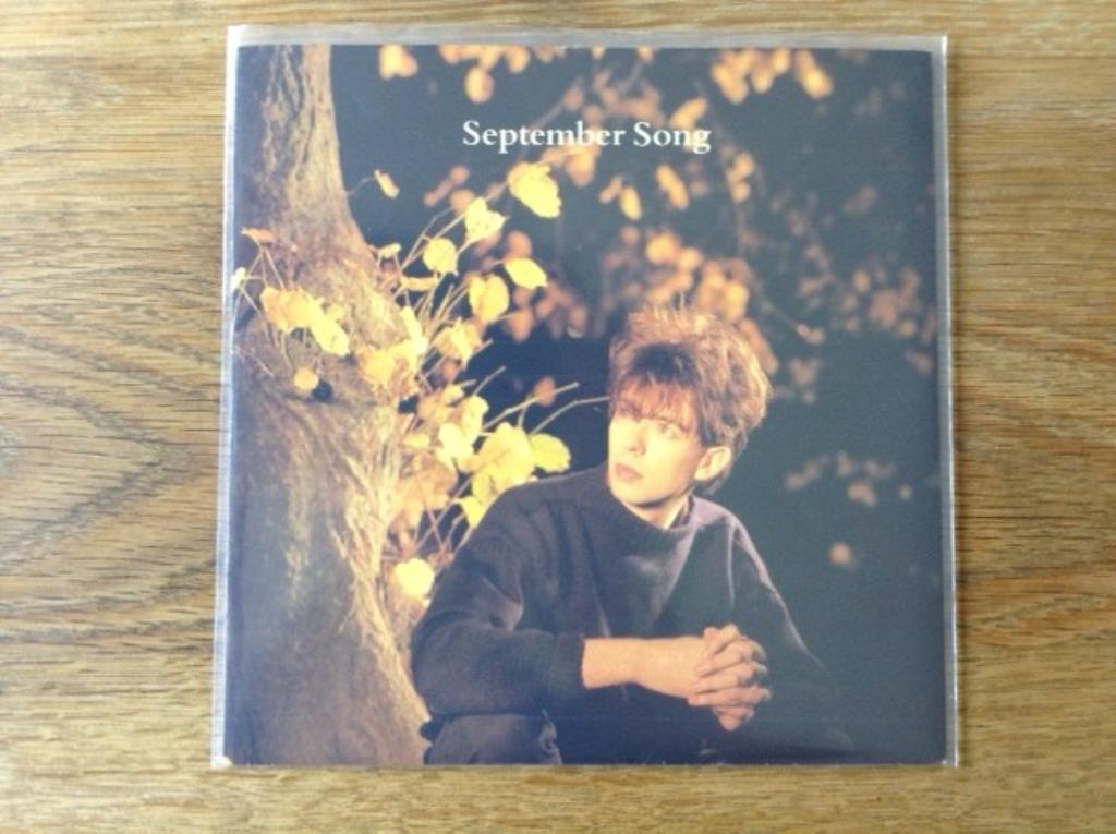 single ian mcculloch, Enlèvement ou Envoi, 7 pouces, Rock et Metal, Single