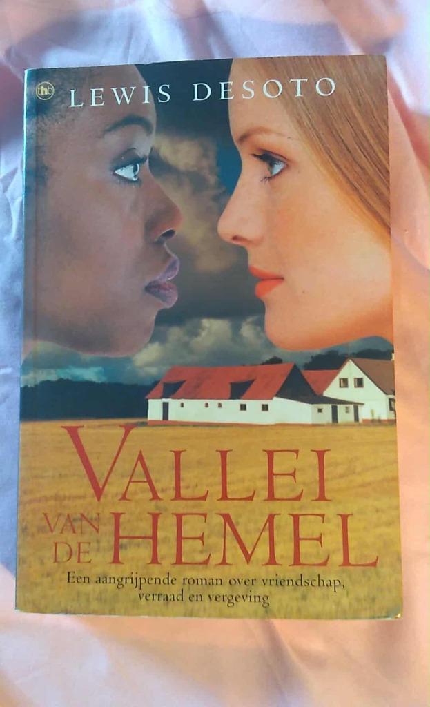 Vallei van de Hemel, Enlèvement ou Envoi, Lewis Desoto