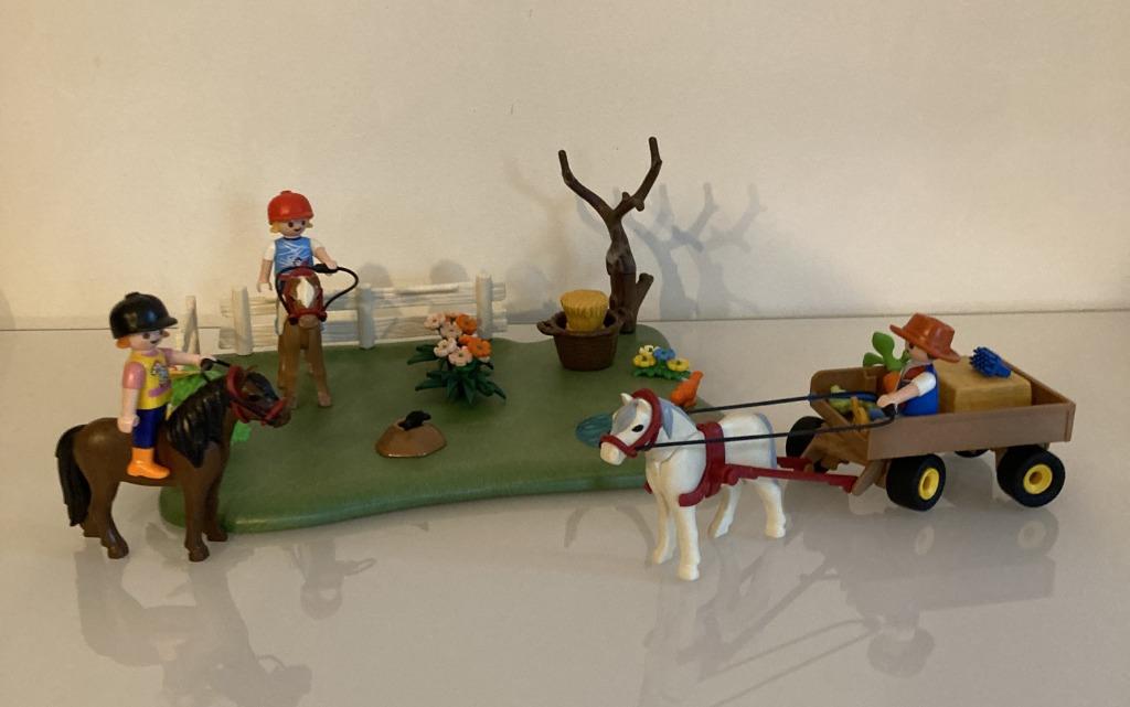 Playmobil 5457 - Ponyweide met hooiwagen, Ophalen, Gebruikt, Complete set