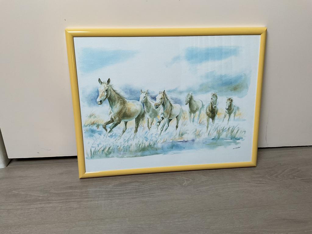 Cadre magnifique avec chevaux, Enlèvement ou Envoi