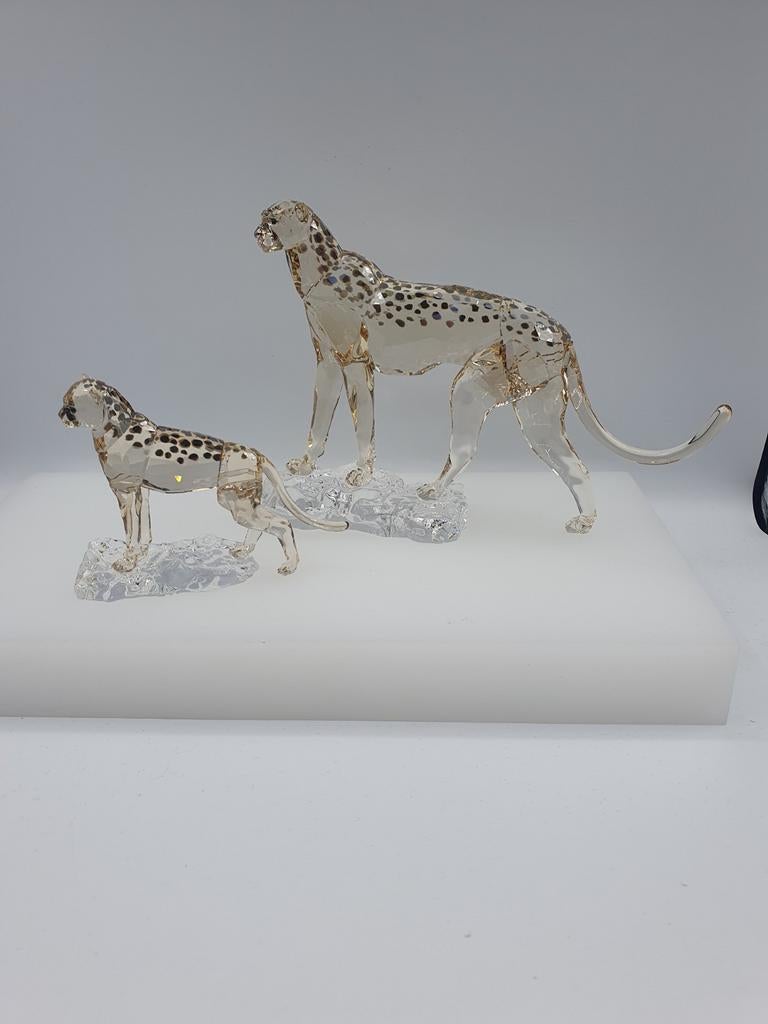 Swarovski Cheetah Mehira met jong ., Ophalen of Verzenden