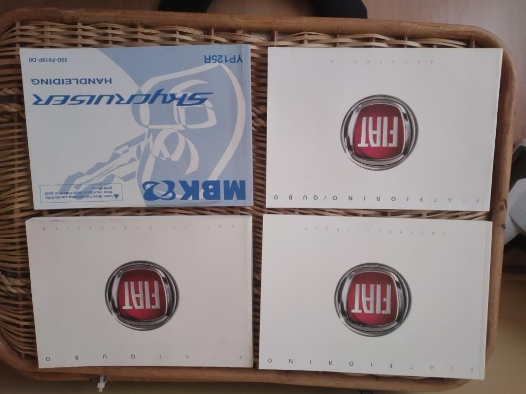 Guide d'emploi fiat fiorino qubo yamaha, Particulier, Achat, Qubo