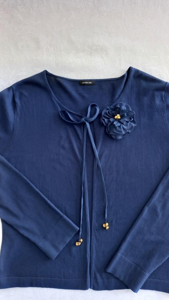 Nouveau pull, cardigan tricoté. Marque CAROLINE BIS. Taille, Vêtements | Femmes, Enlèvement ou Envoi, Neuf, Taille 38/40 (M)