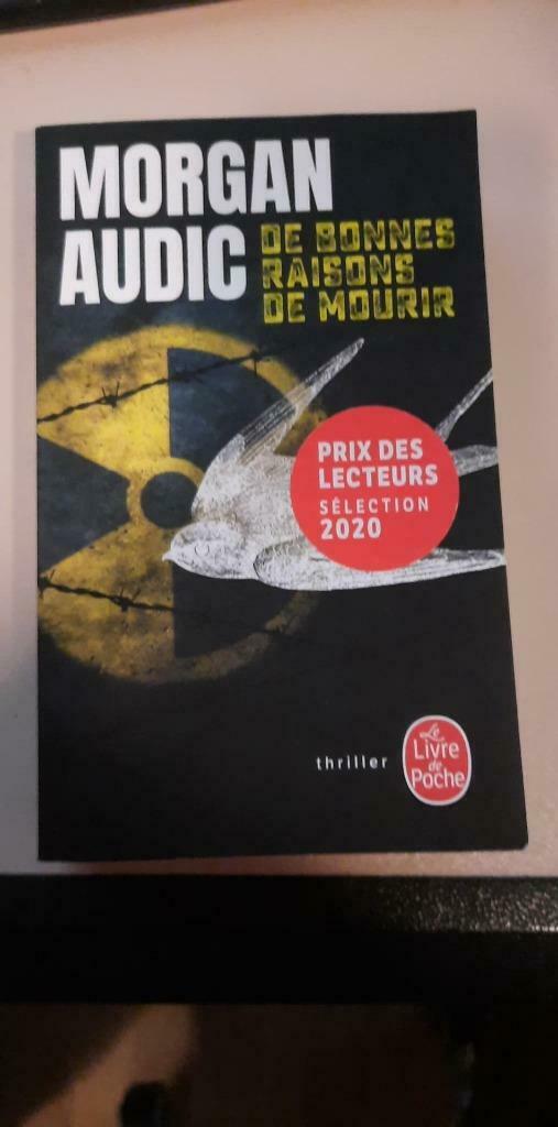 Morgan Audic - De bonnes raisons de mourir, Enlèvement, Utilisé