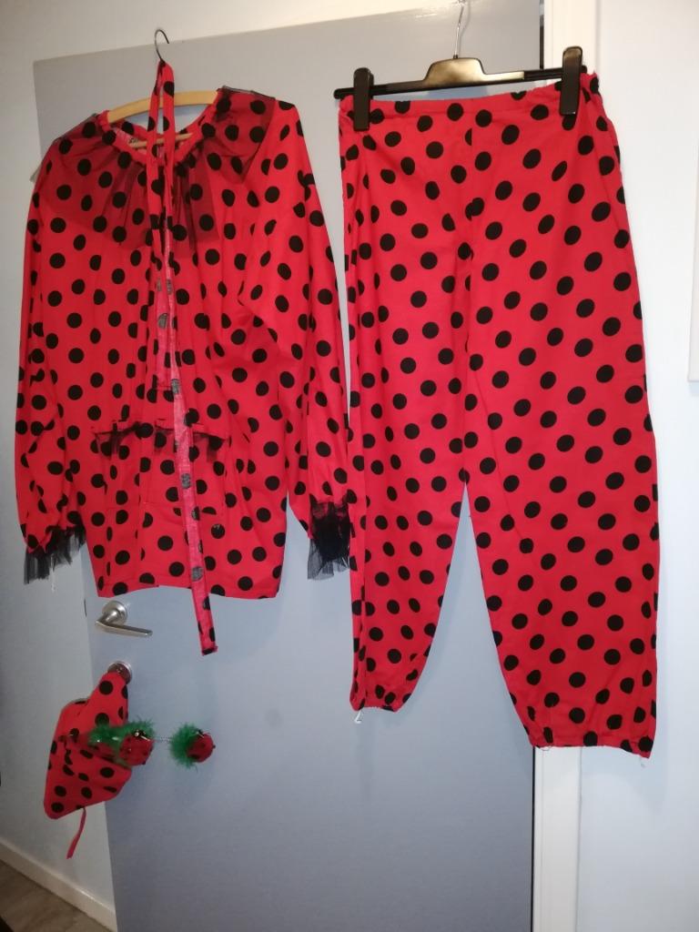 Vêtements de carnaval, Enlèvement, Porté, Taille 42/44 (L)