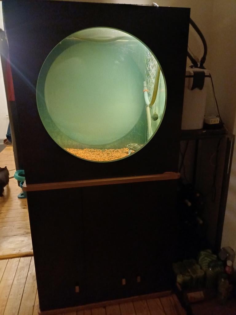 Aquarium hublot aquatlantis (gros modèle)., Enlèvement, Utilisé, Aquarium vide