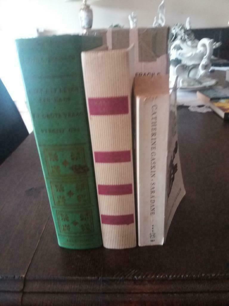 boeken romans, Boeken, Ophalen of Verzenden, Zo goed als nieuw