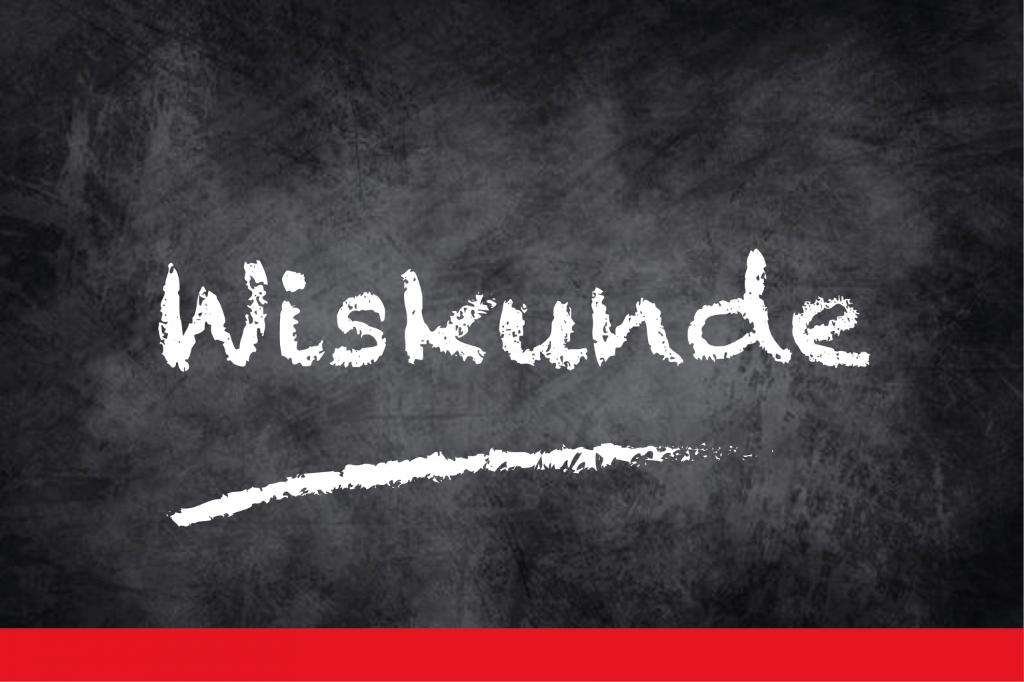 Bijles Wiskunde en Sudiebegeleiding Maasmechelen, Privéles, Bijles
