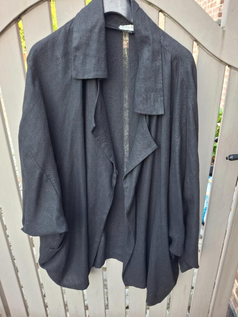 Dames kleding (grote maten), Ophalen, Zo goed als nieuw, Overige kleuren