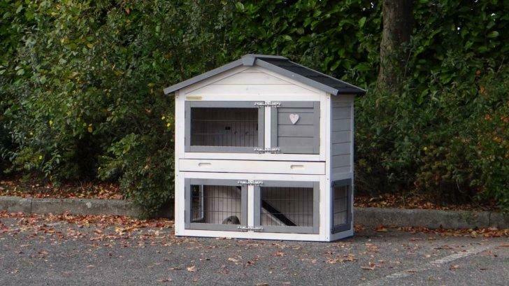 Clapier XXL moderne abri lain abri rongeur enclos parc, Envoi, Neuf