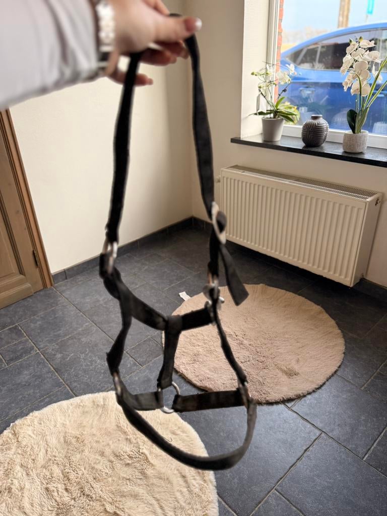 Licol noir, Animaux & Accessoires, Enlèvement ou Envoi, Comme neuf