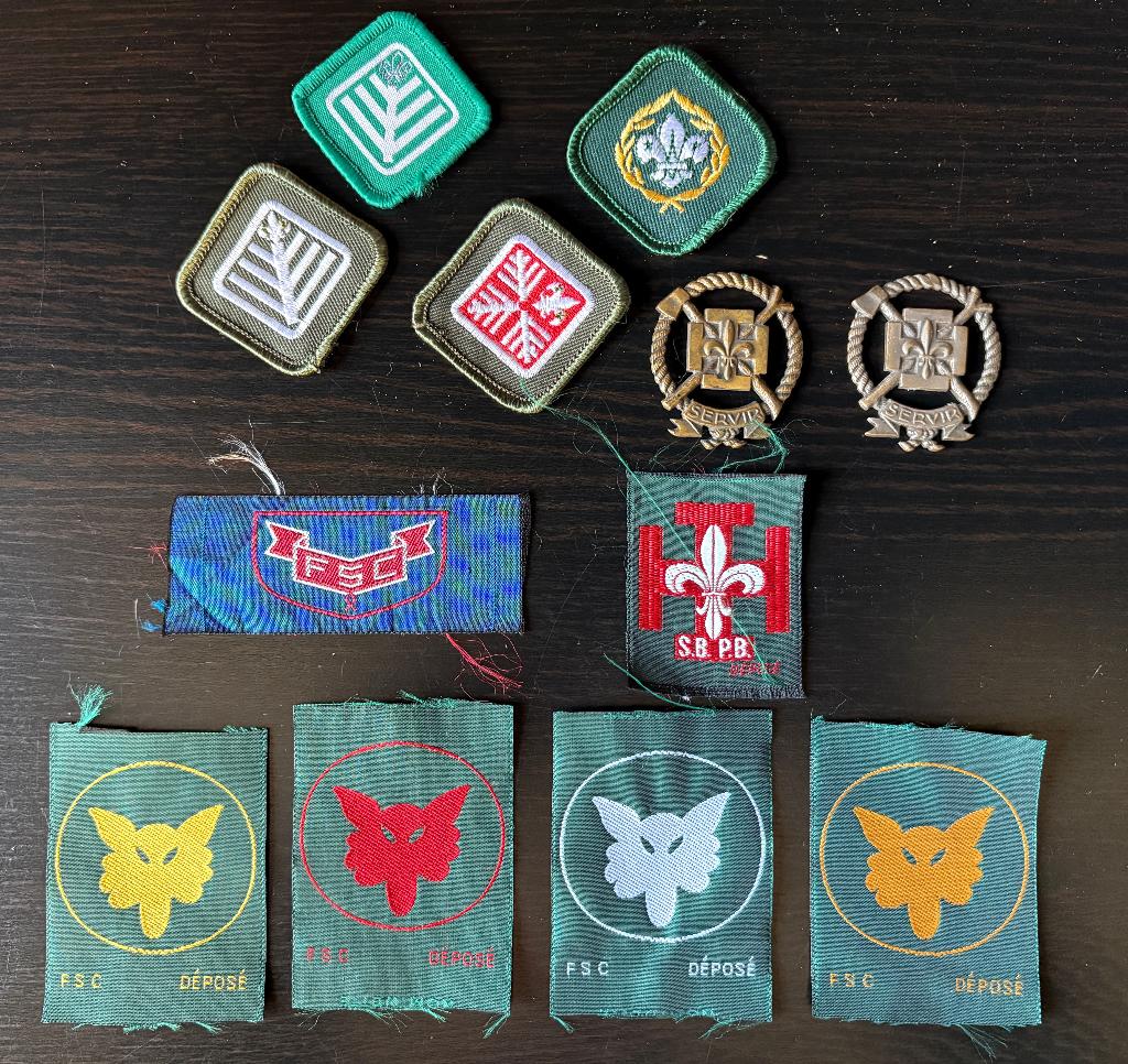 Insignes des scouts FSC FOS, Enlèvement ou Envoi, Utilisé, Emblème, Broche ou Badge