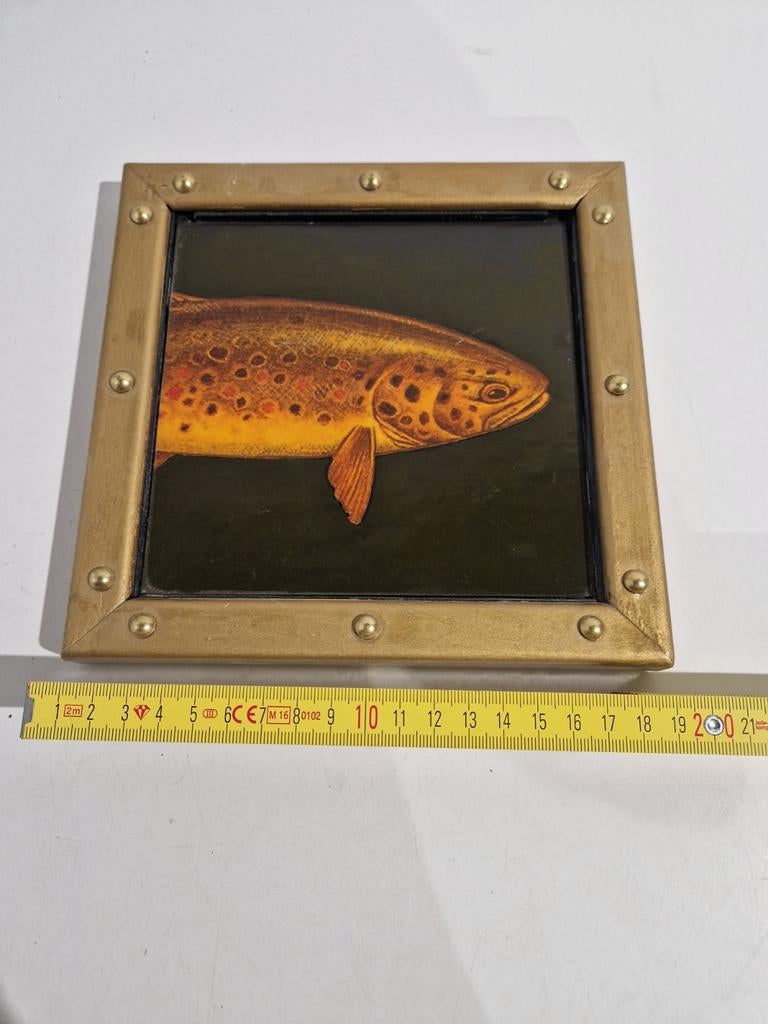 Houten kader met afbeelding van Fario forel , 20 x 20 cm, Ophalen of Verzenden, Zo goed als nieuw