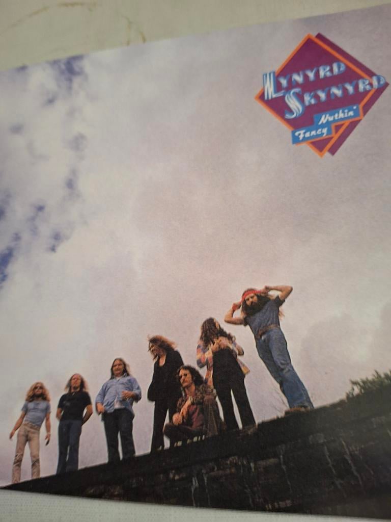 Lynyrd skynyrd, Ophalen of Verzenden, Zo goed als nieuw