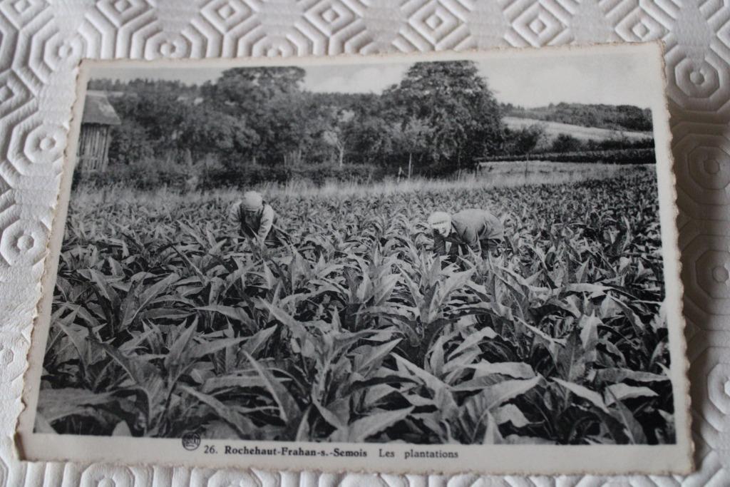 Rochehaut Frahan sur Semois - Les Plantations ( tabac), Ophalen of Verzenden, 1940 tot 1960, Ongelopen, Luxemburg