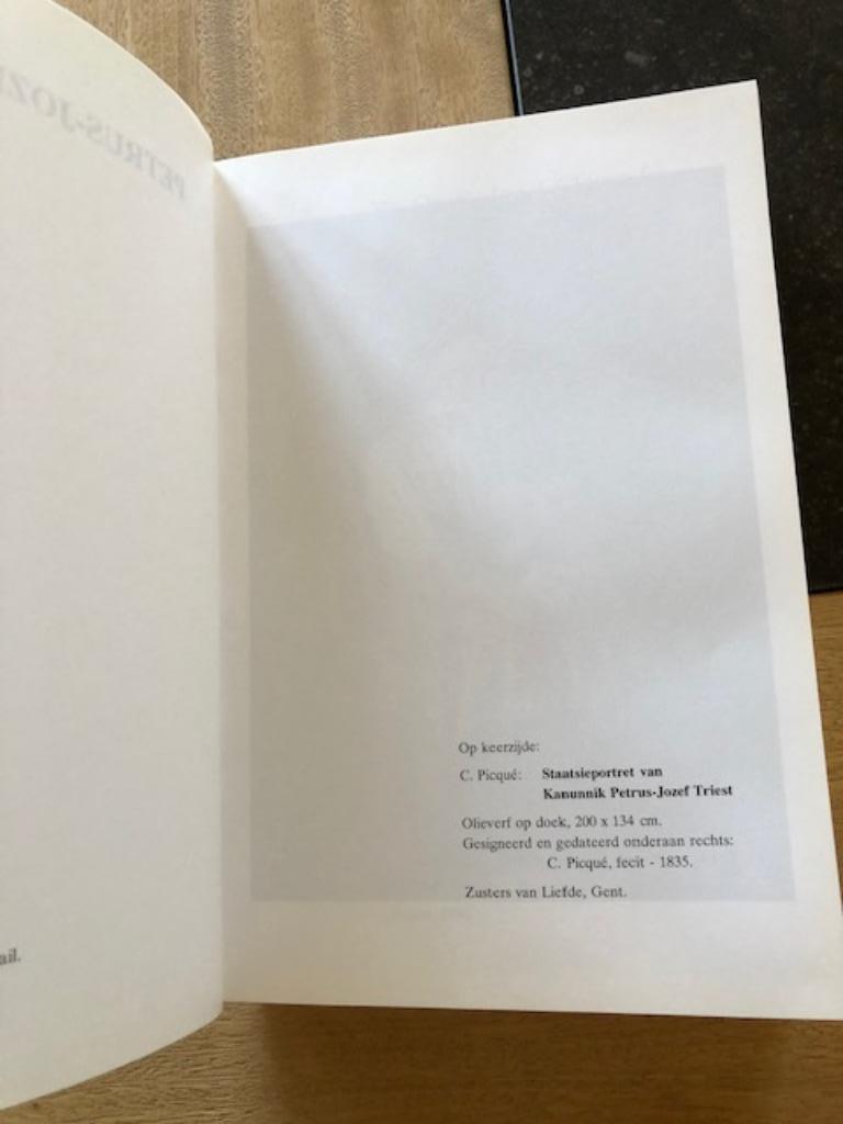 J.P.Triest: De groei van een kloosterstichter - Br. Orest,, Enlèvement ou Envoi, Comme neuf, Livre, Christianisme | Catholique