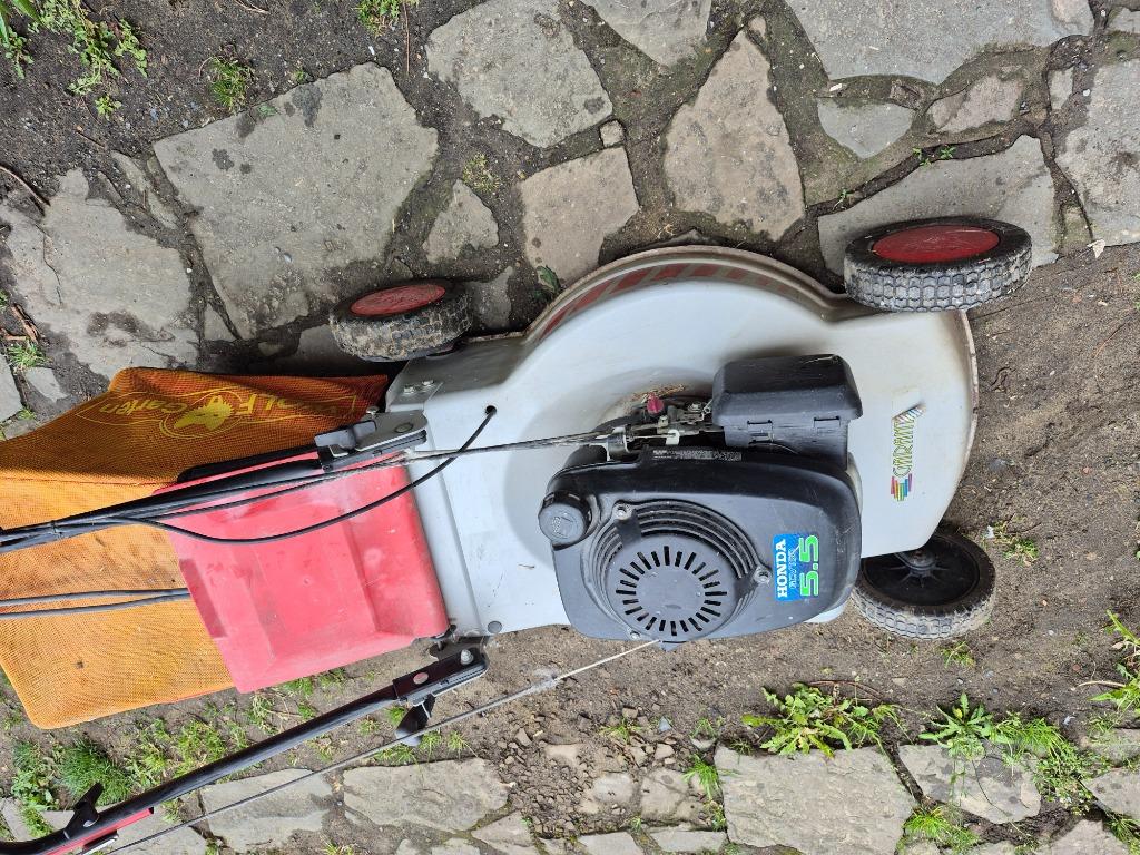 Machine de jardin, Enlèvement, Utilisé, Tondeuses à gazon à essence