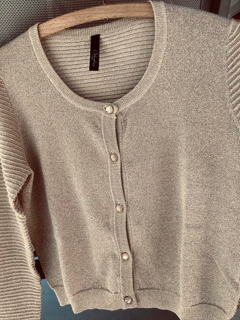 Vest bleubay, Kleding | Dames, Truien en Vesten, Ophalen of Verzenden, Zo goed als nieuw, Maat 36 (S), Bleubay