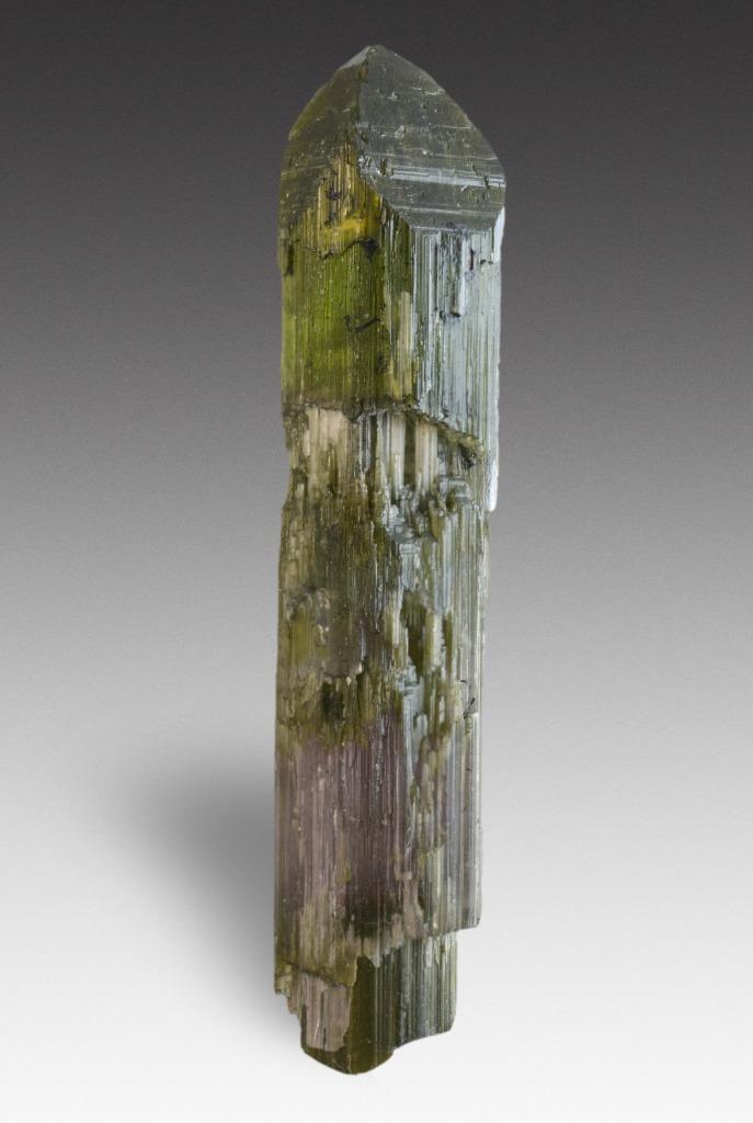 Tourmaline elbaite bicolore sceptre Brésil, Collections, Enlèvement ou Envoi, Minéral