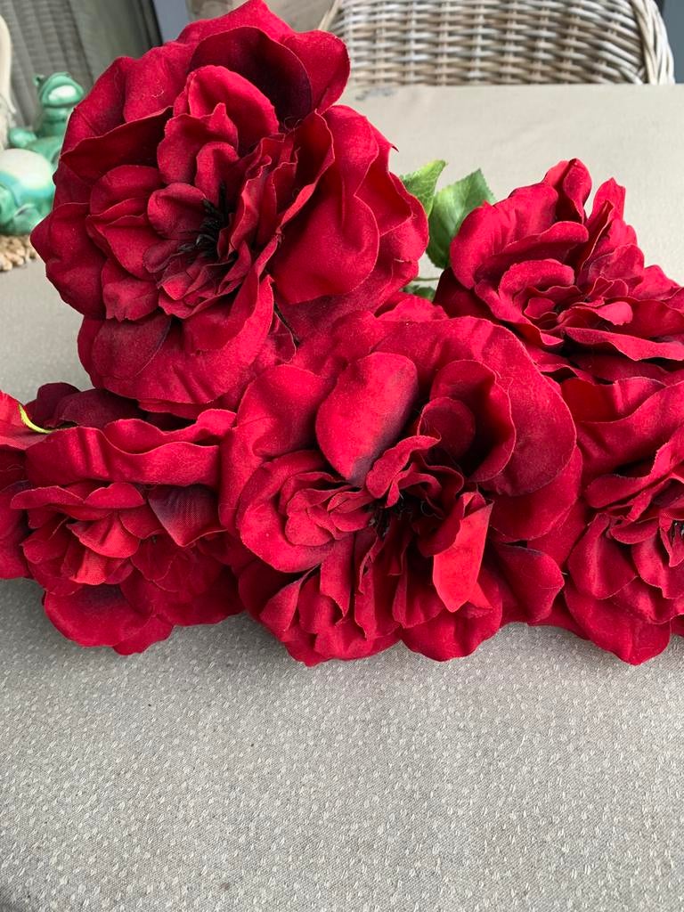 Grote rode rozen, Enlèvement ou Envoi, Comme neuf