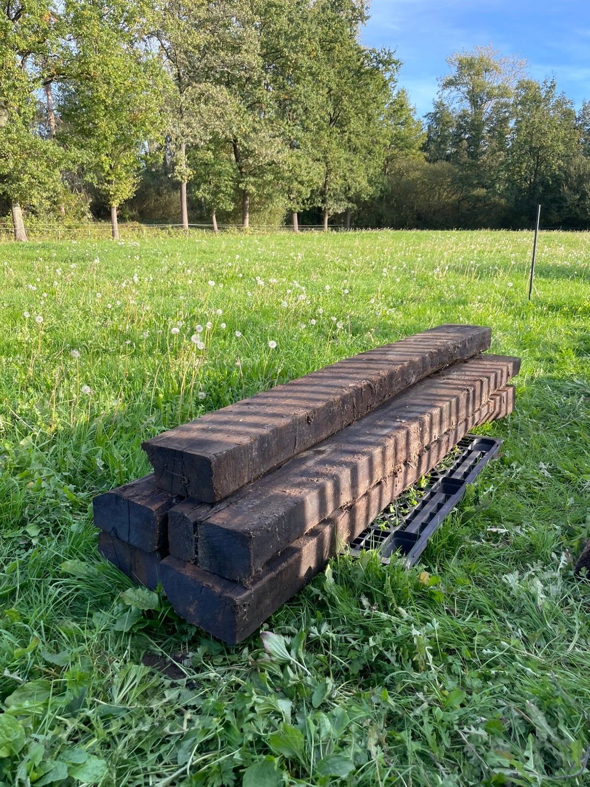 Bielzen, Tuin en Terras, Ophalen, Gebruikt