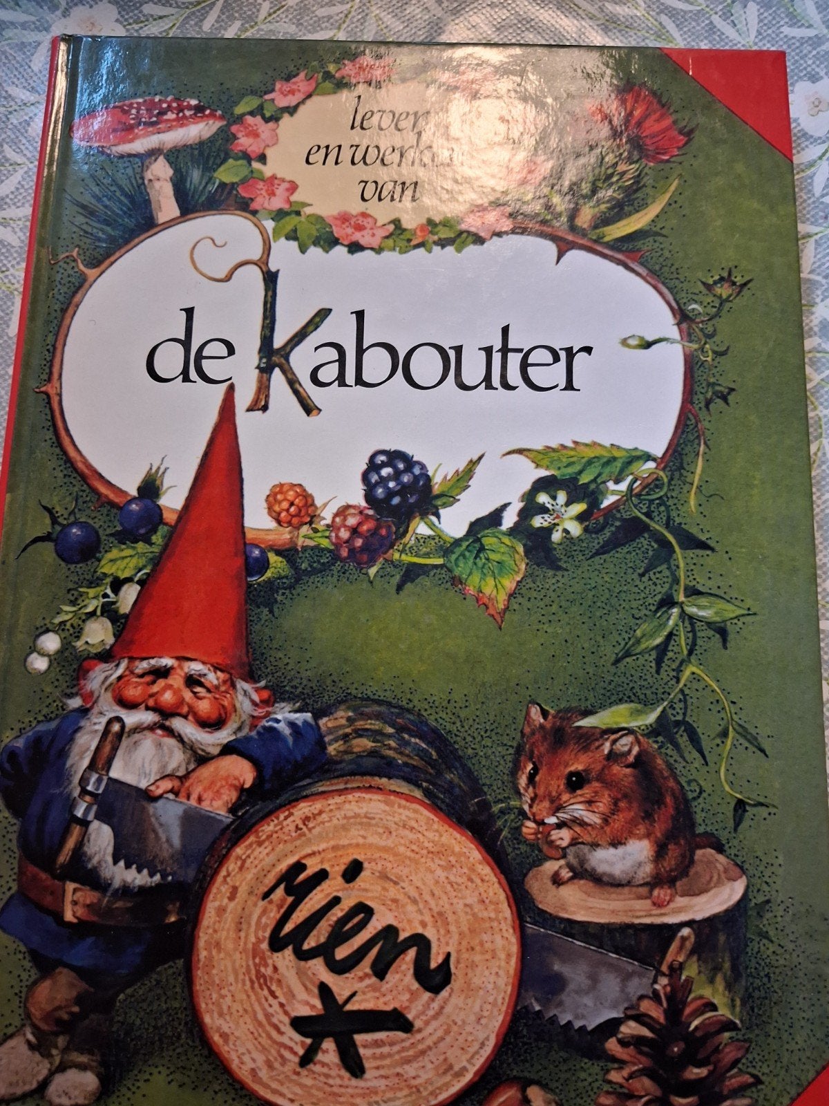 Wil Huygen - Leven en werken van de kabouter, Livres, Contes & Fables, Enlèvement, Wil Huygen; Rien Poortvliet
