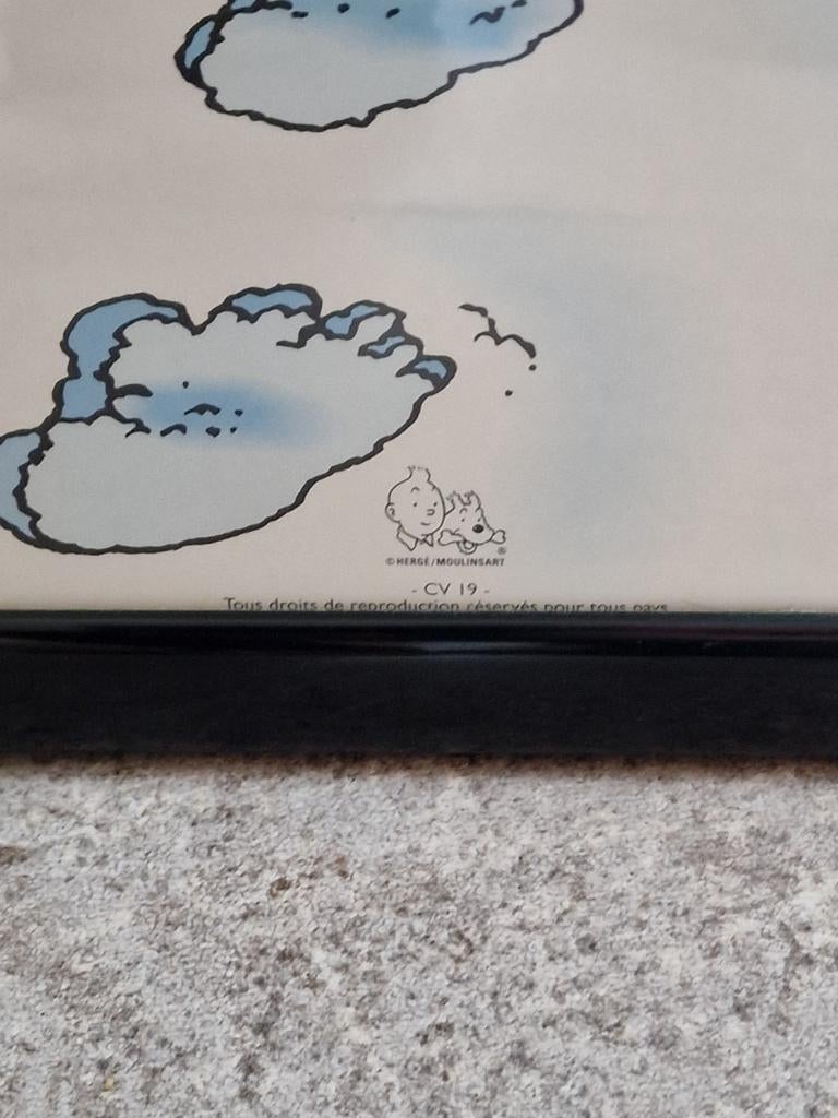 Tintin au Tibet, Enlèvement