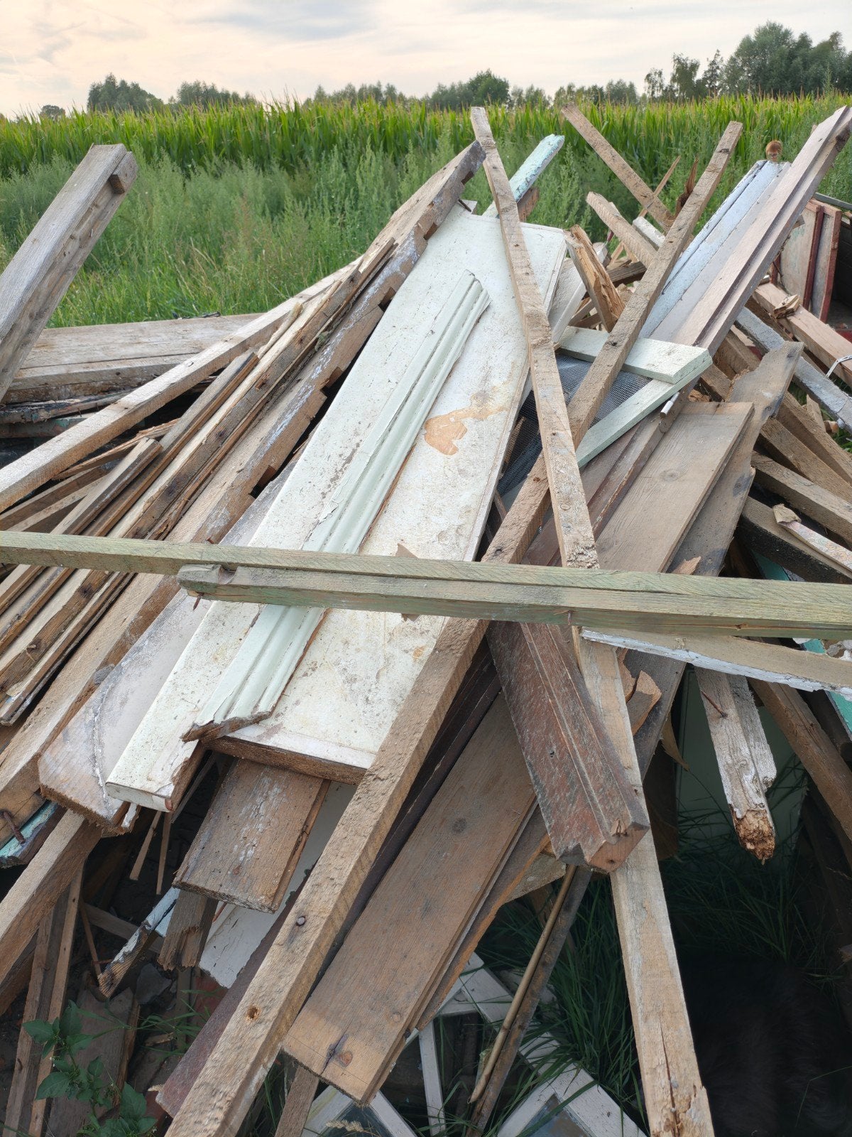 gratis hout op te halen in Torhout, baddingen, pannelatten, Ophalen