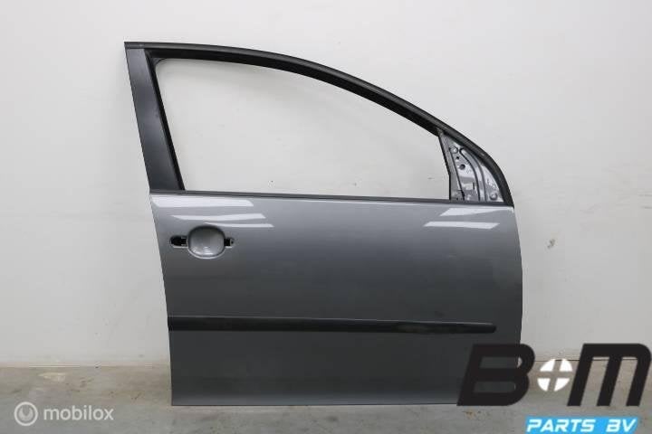 Portier rechtsvoor VW Golf 5 5drs LA7T 1K4831302AB, Gebruikt