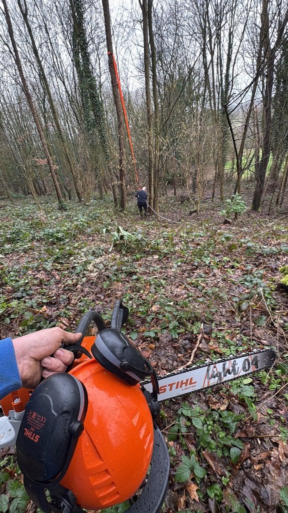 Wij vellen bomen in ruil voor het hout, Ophalen