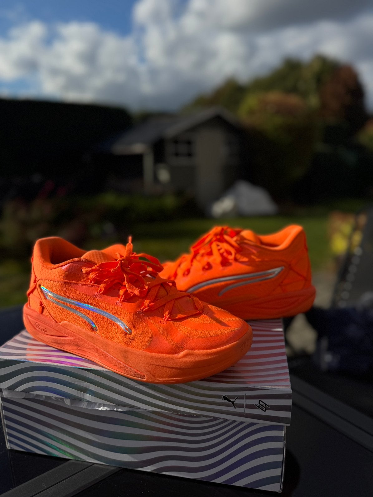 Chaussure de sport basketball orange, Sport en Fitness, Ophalen of Verzenden, Nieuw, Schoenen