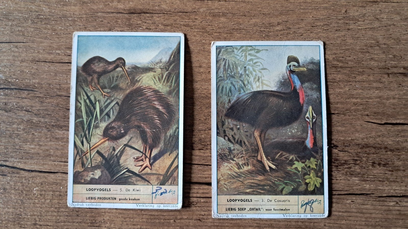 Liebeg loopvogels, Hobby & Loisirs créatifs, Cartes | Fabrication, Enlèvement ou Envoi