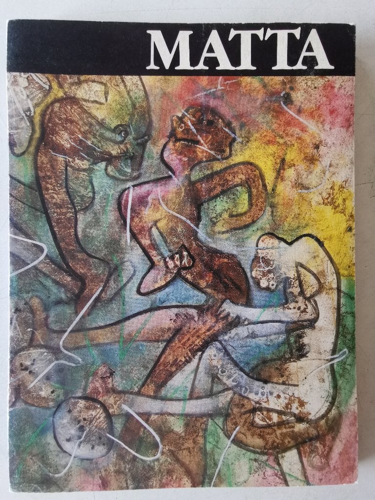 Matta - heel zeldzaam boek, Ophalen of Verzenden, Gelezen, Schilder- en Tekenkunst