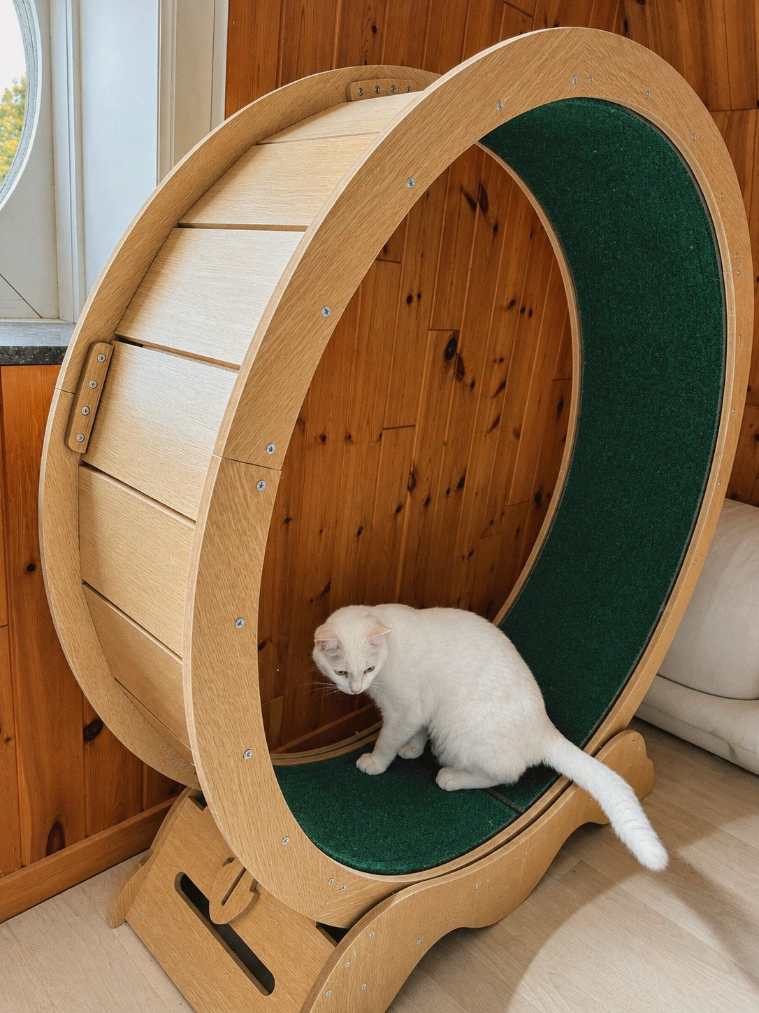 Kattenrad/ Kattenloopwiel, Ophalen, Nieuw