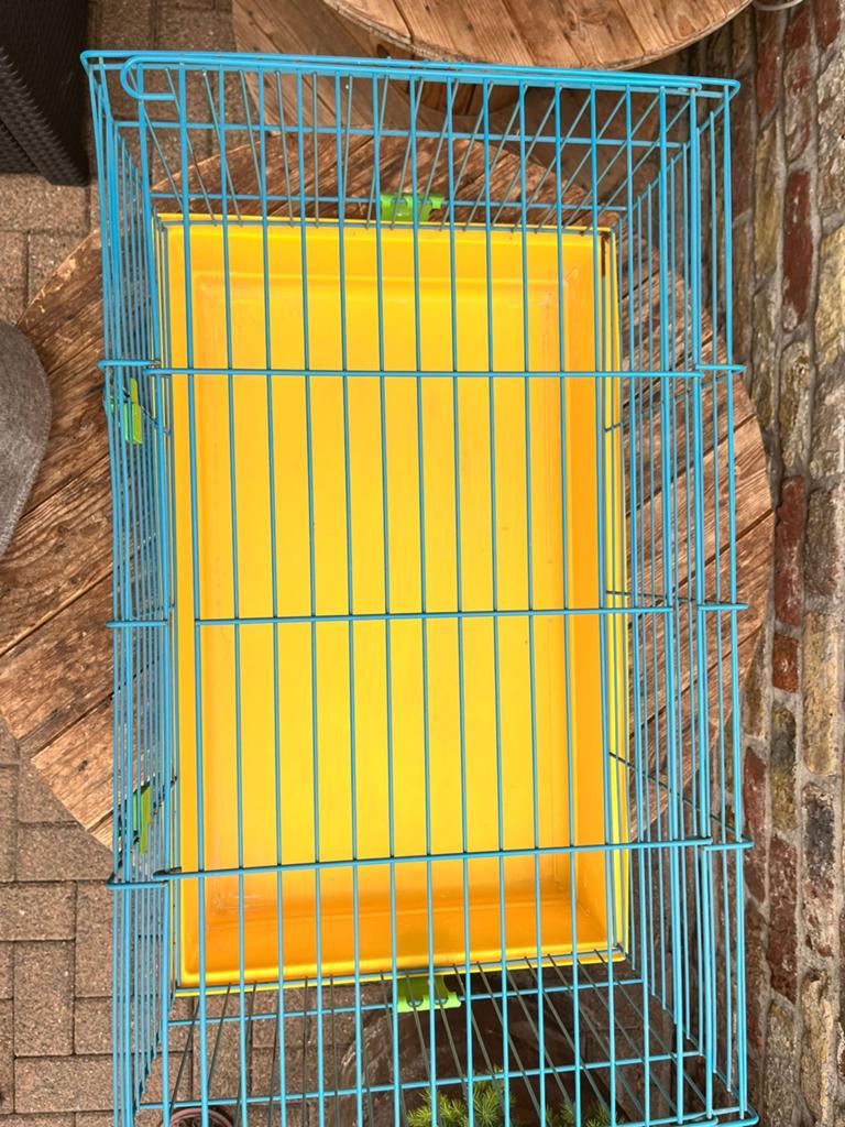 Konijnenhok, Dieren en Toebehoren, Ophalen, Gebruikt