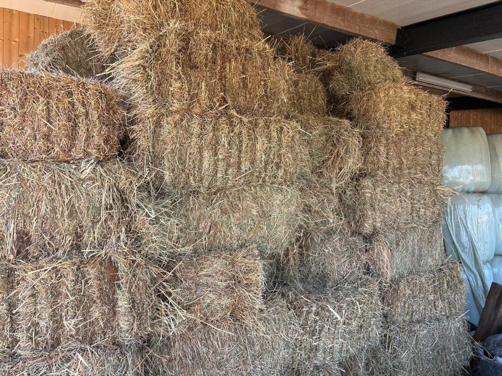 Kleine balen hooi, Animaux & Accessoires, Nourriture pour Animaux, Enlèvement, Autres espèces