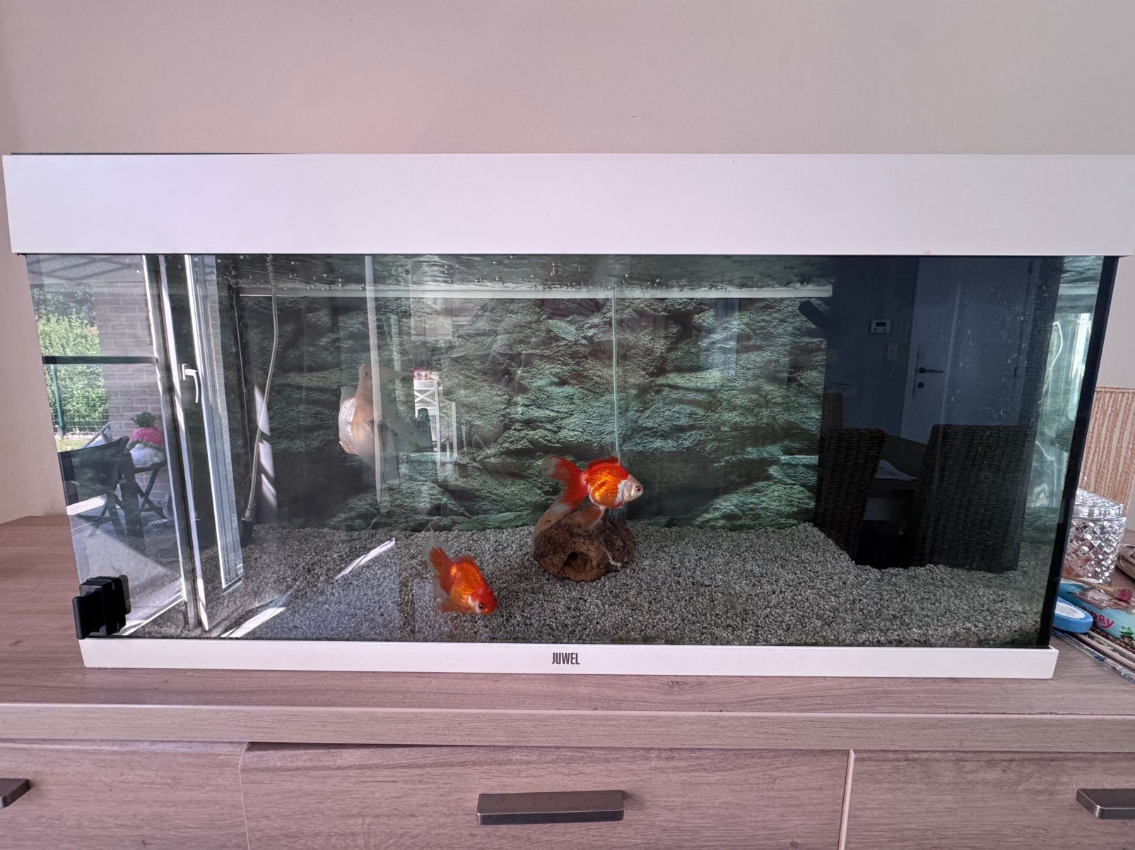 Juwel rio 180l met toebehoren, Ophalen, Zo goed als nieuw, Juwel