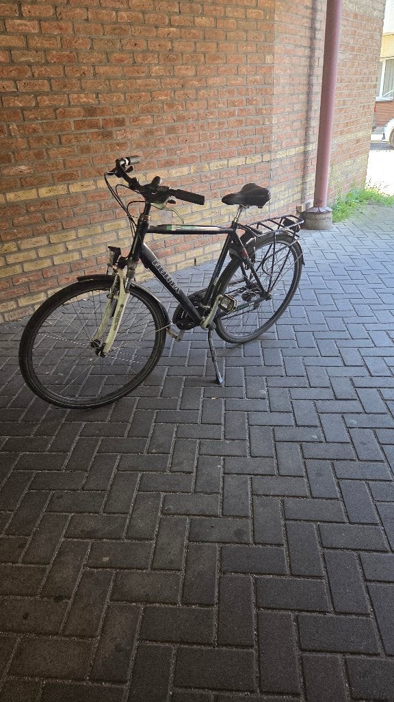 Herenfiets, Fietsen en Brommers, Ophalen, Gebruikt