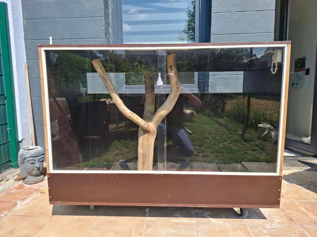 Terrarium betonplex, Dieren en Toebehoren, Ophalen