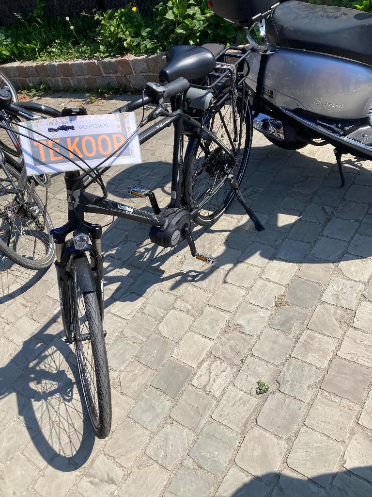 Elektrische fiets, Fietsen en Brommers, Ophalen, Nieuw
