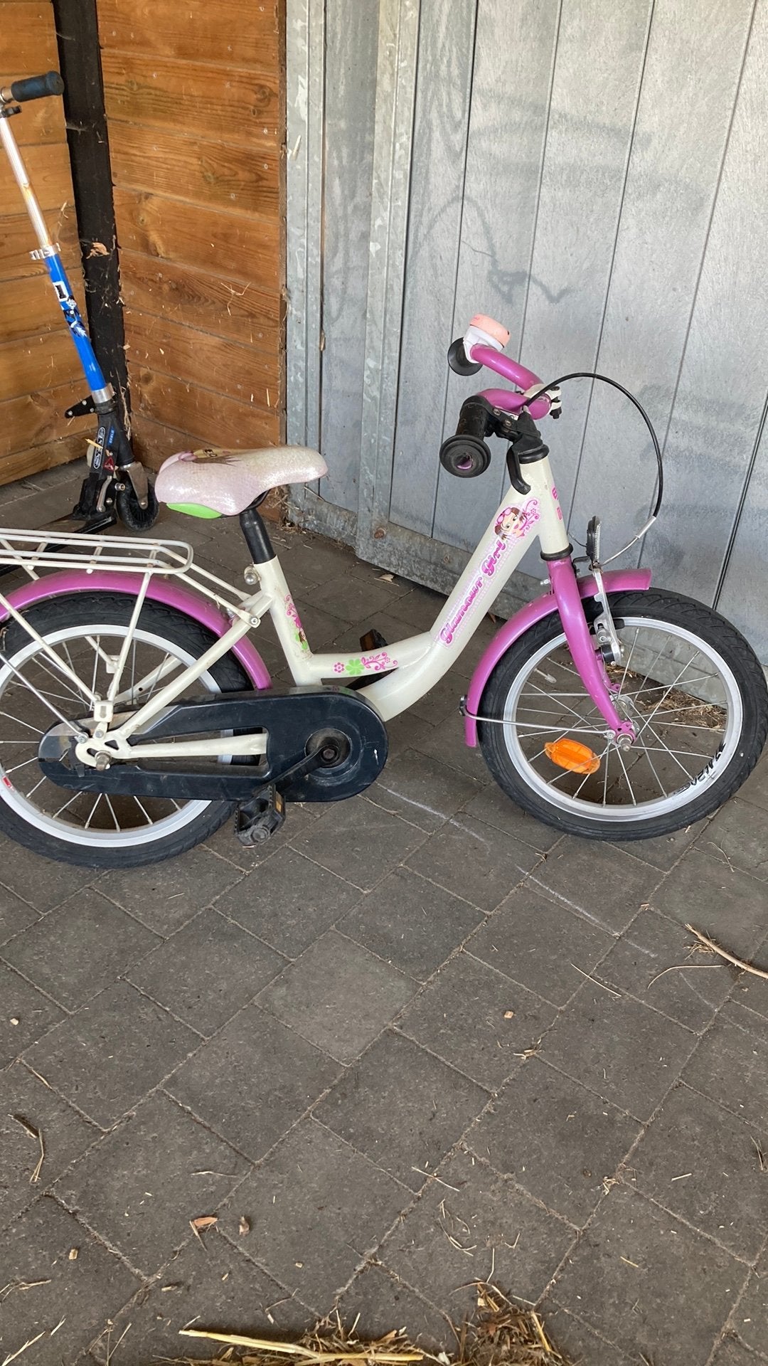 Meisjesfiets 16 inch, Ophalen, Terugtraprem, 16 inch, Handrem