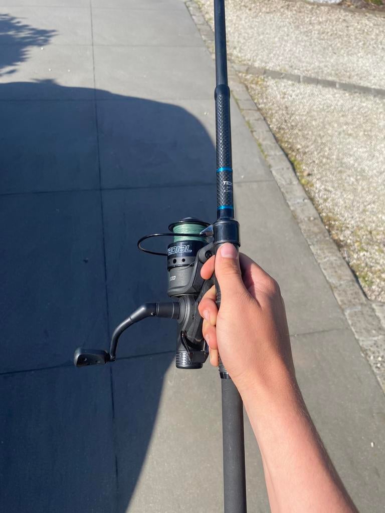 Karperset: Lion Treasure 10ft Hengel + Spro Vrijloopmolen, Ophalen, Zo goed als nieuw