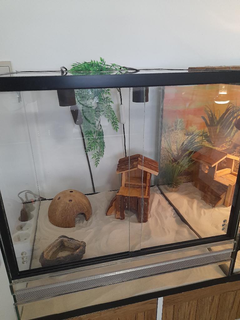 Terrarium 40x40, Dieren en Toebehoren, Ophalen, Gebruikt, Terrarium of Paludarium