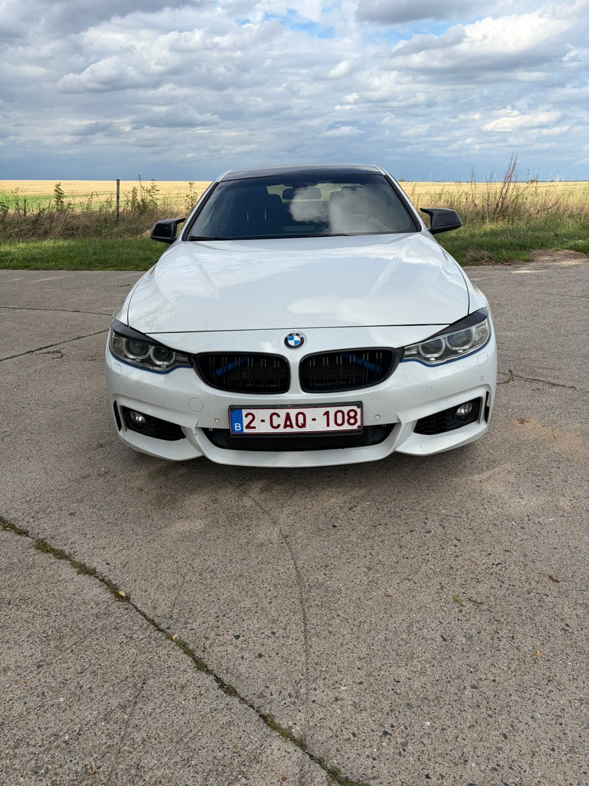 Bmw 420i Xdrive Msport, Autos, Feux de jour LED, Achat, Carnet d'entretien, Alcantara