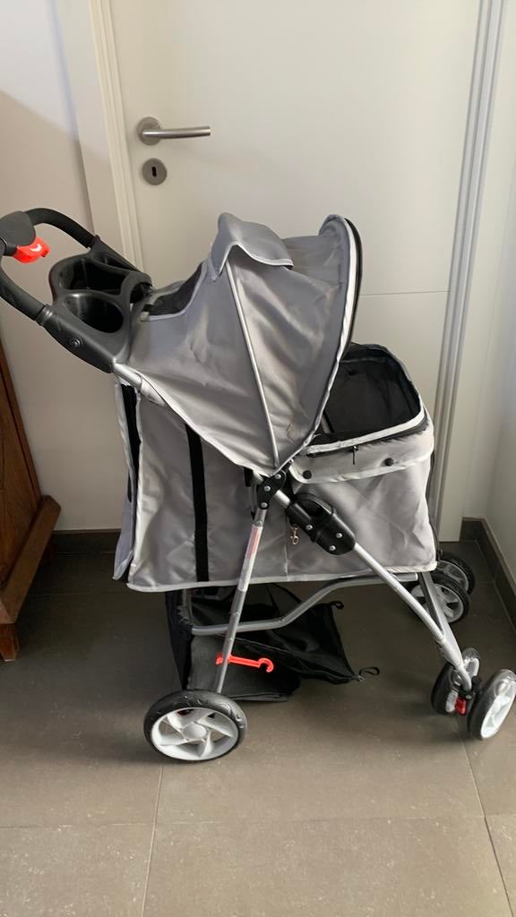 Buggy hond, Ophalen