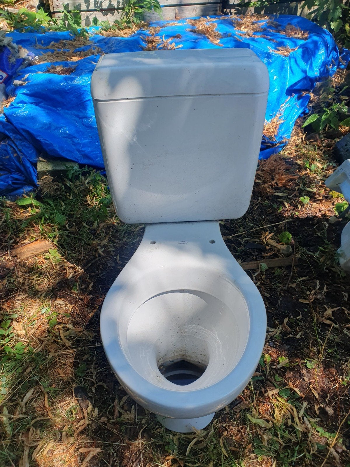 Wc (Ideal Standard)met stortbak, Doe-het-zelf en Bouw, Ophalen